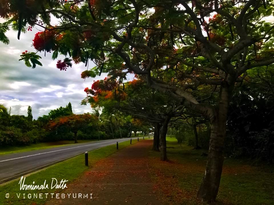 29497833_996808357145560_6566923868980801000_n